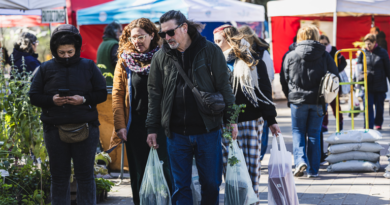 Una multitud disfrutó en la Plaza Brown de la “Expo Vivero”, que continúa en esta jornada de domingo