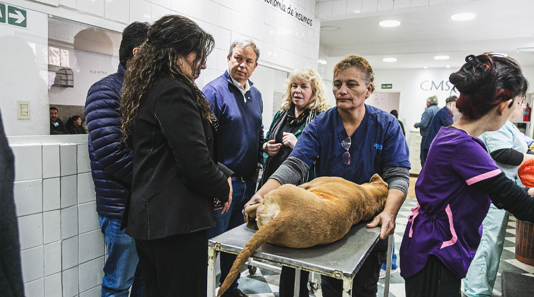 Cada vez más municipios toman como referencia y replican el modelo de Zoonosis Brown 2 20260828 brown zoonosis1 Zoonosis Brown