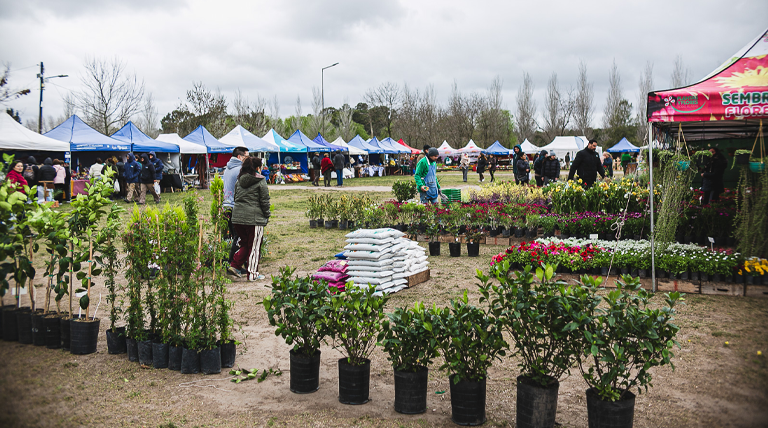 Cientos de vecinos desafiaron al clima y disfrutaron de la Expo Feria, que continúa hoy domingo de 10 a 18 2 20260912 granja educativa municipal expo feria Expo Feria